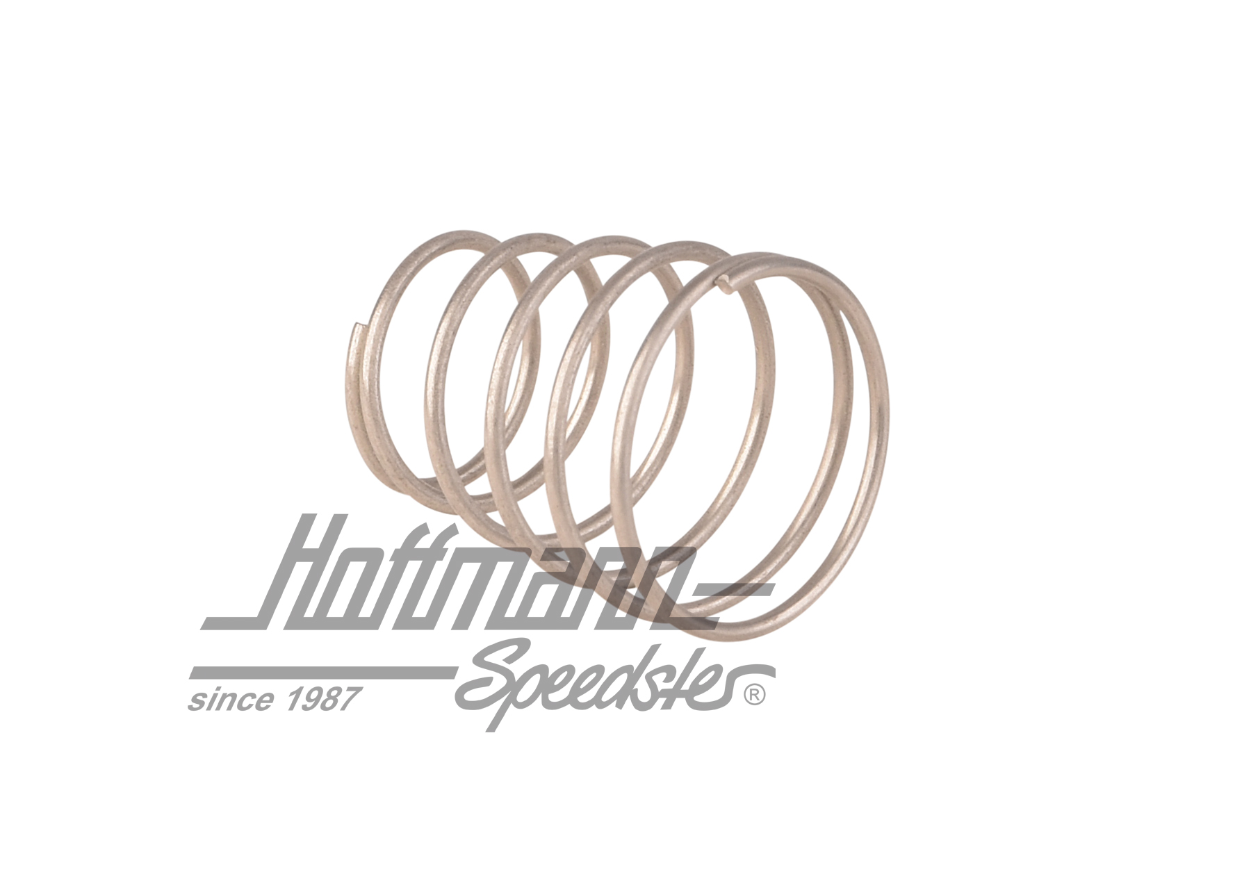 Resorte, membrana, bomba de aceleración                                                             