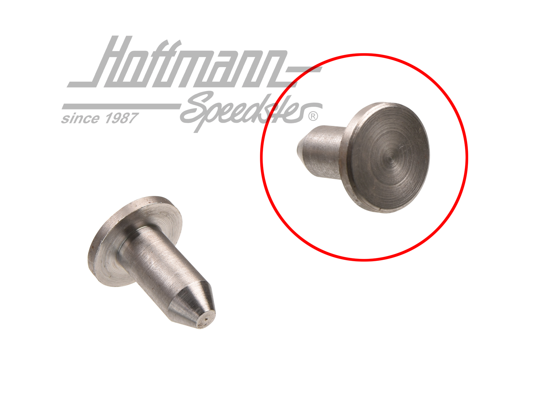 Perno, soporte de cojinete, t
ope de puerta
 | 181 809 PIN | 080-2620-10