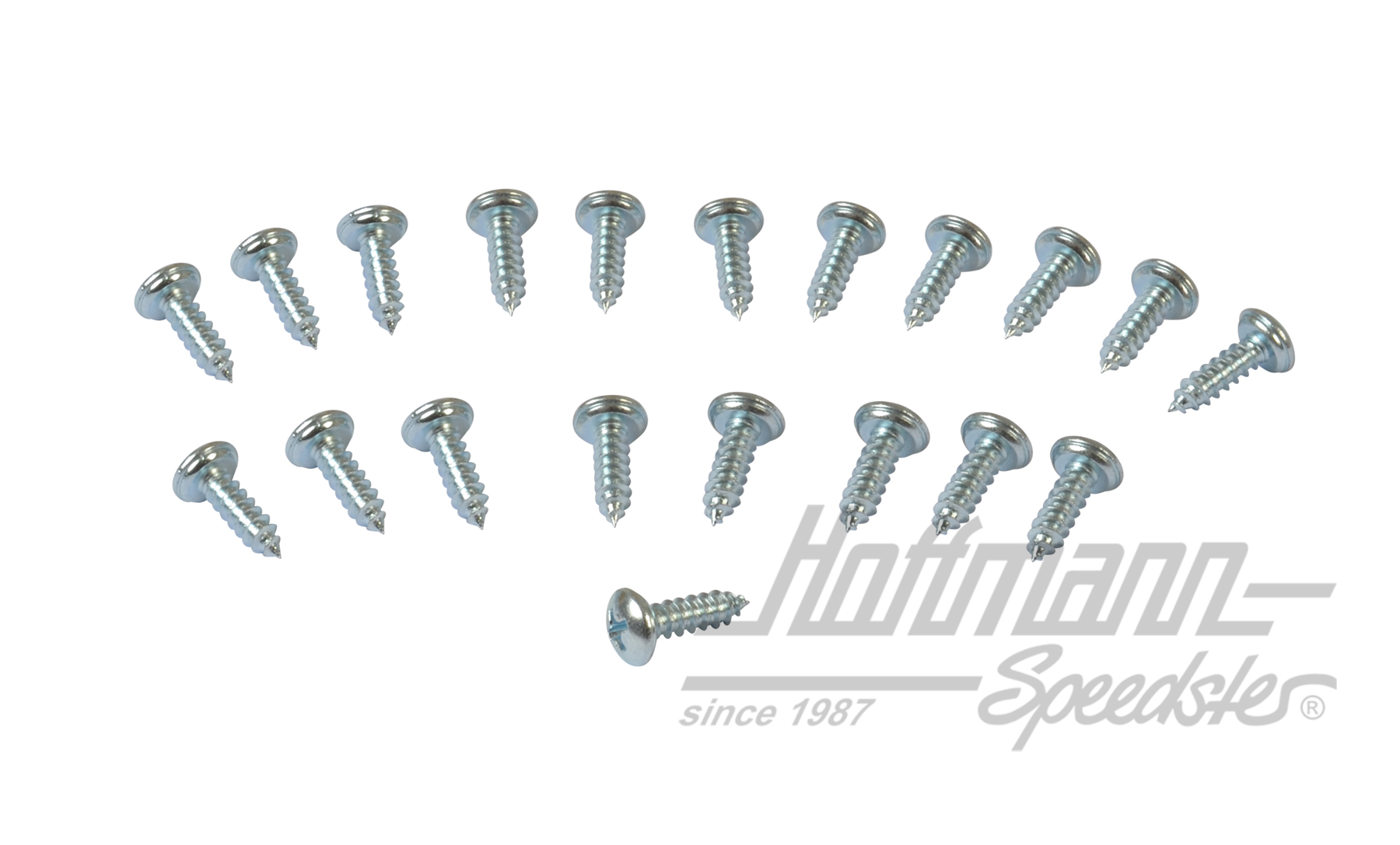 Tornillos,  Westfalia (20 piezas) | 255 070 240 | 385-3012