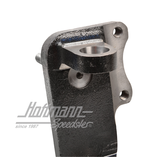 Mangueta de eje, bajada, freno de disco, Furgoneta T2                                               