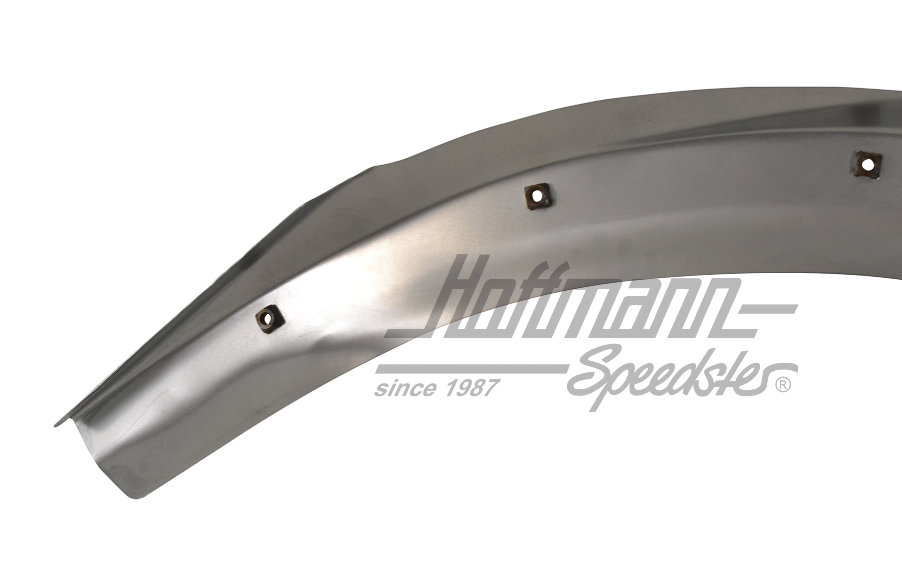 Borde atornillable del guardabarros, posterior, izquierdo                                           