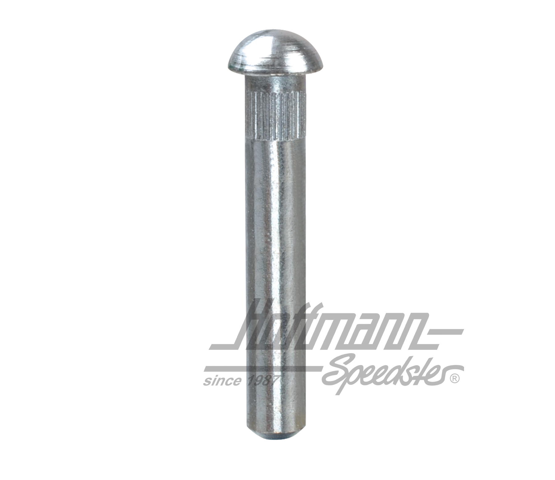 Perno de bisagra de puerta, ø8.2mm (sobremedida 2.) | 211 831 421 B | 089-5040-09