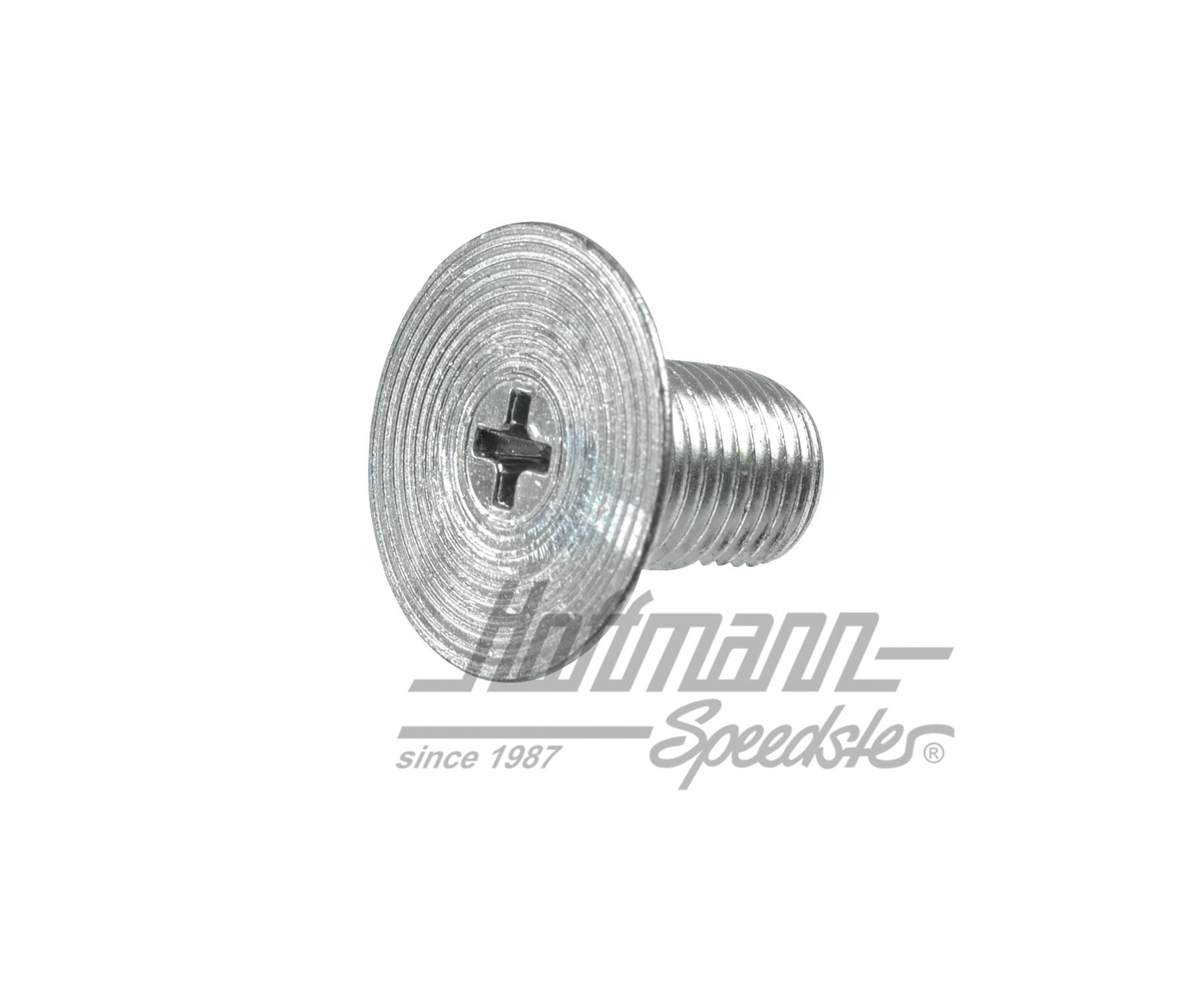 Tornillo, plano, guía para techo corredizo | 117 877 497 | 020-5498-60