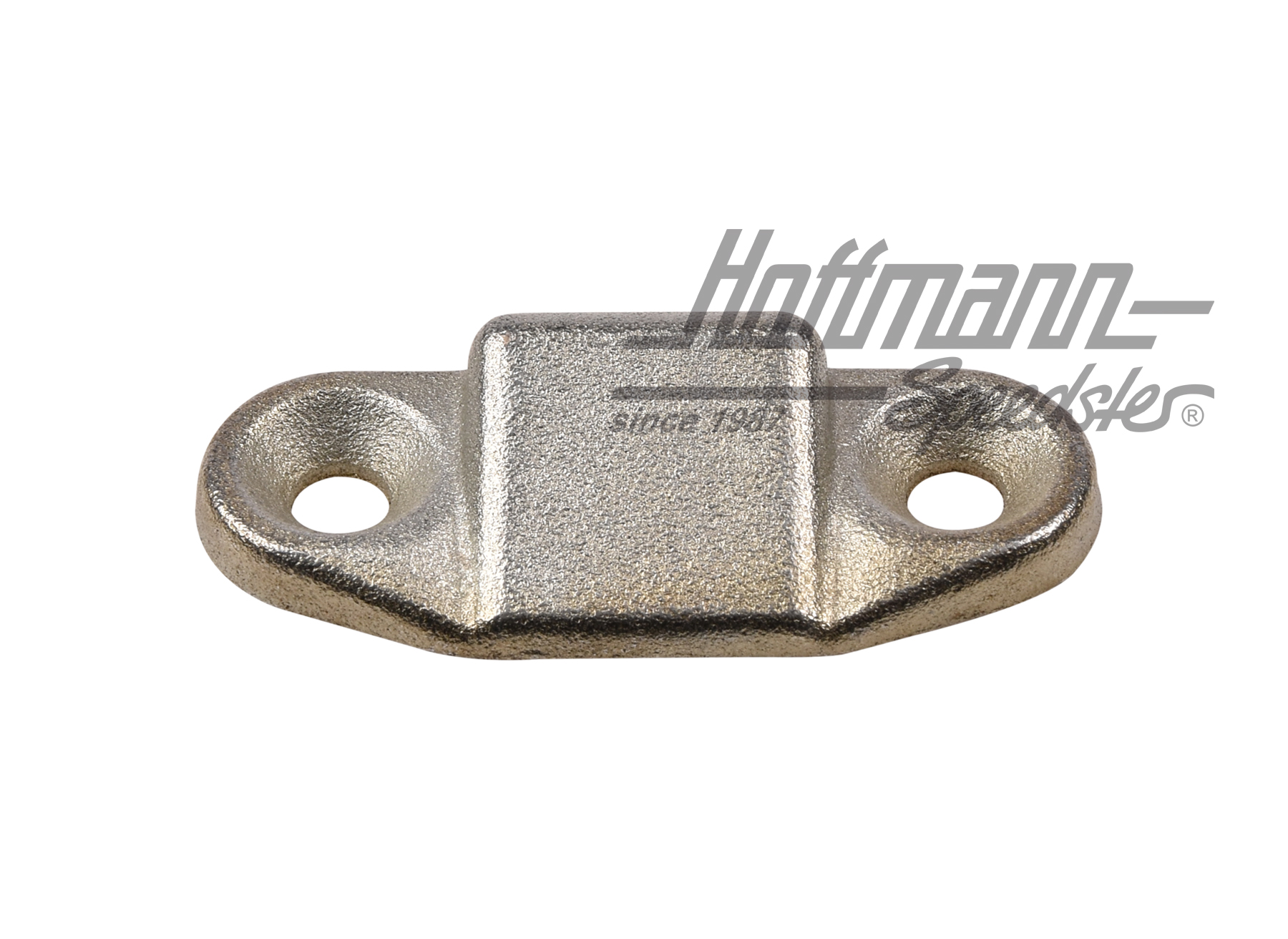 Placa de cierre, lateral, portón trasero                                                            