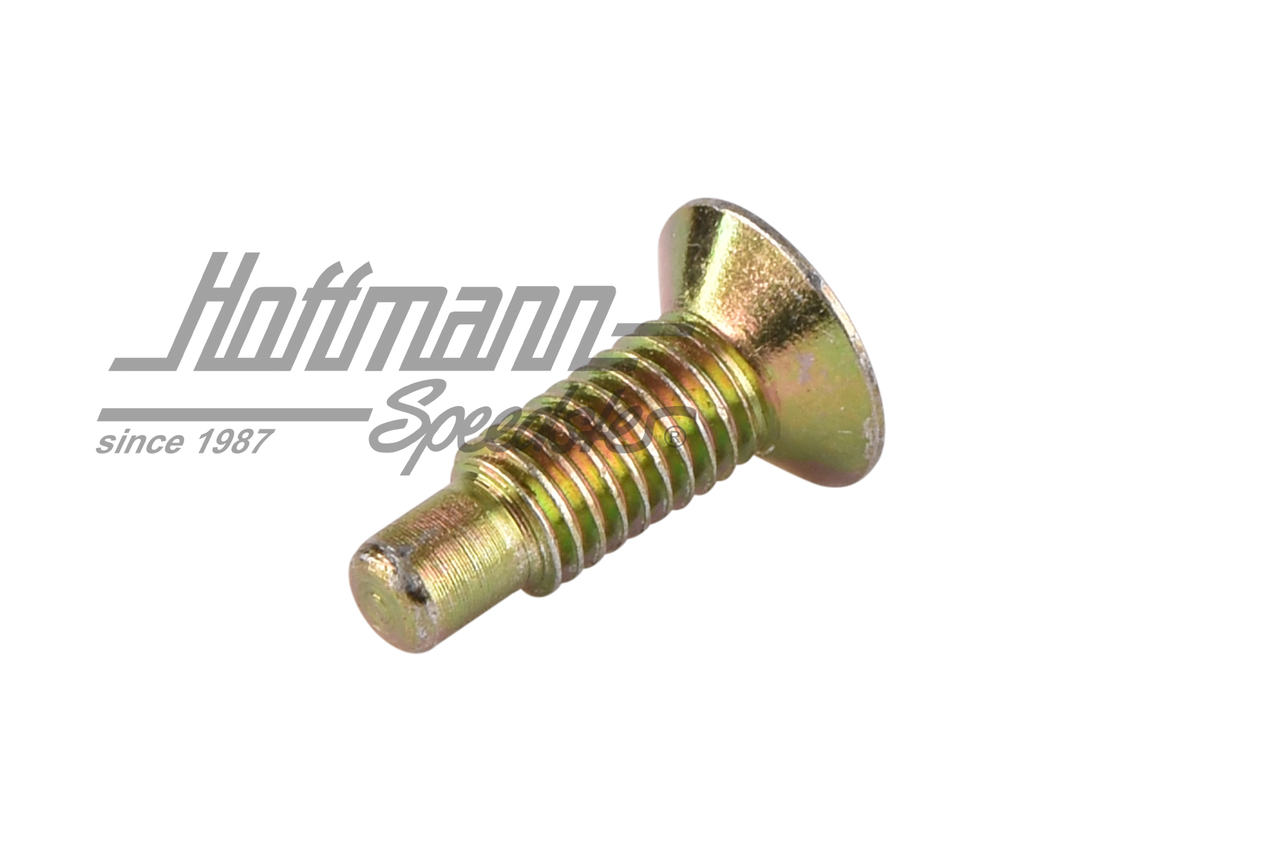 Tornillos, tapa del intermitente (imprimados)                                                       