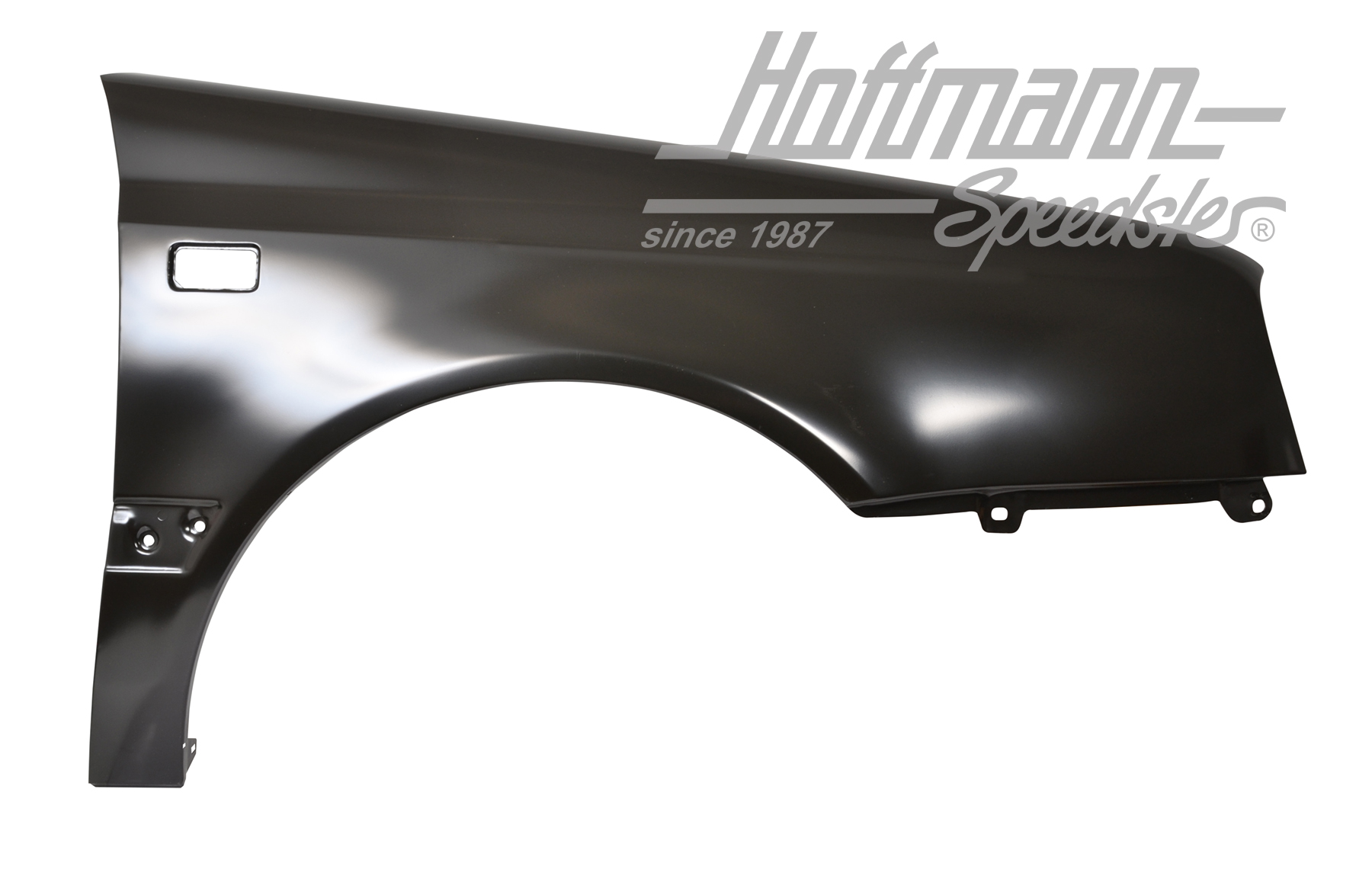 Guardabarros, Golf 3 Cabrio
let, dcha., Calidad Superior | 1E0 821 022 | 218-8300-02
