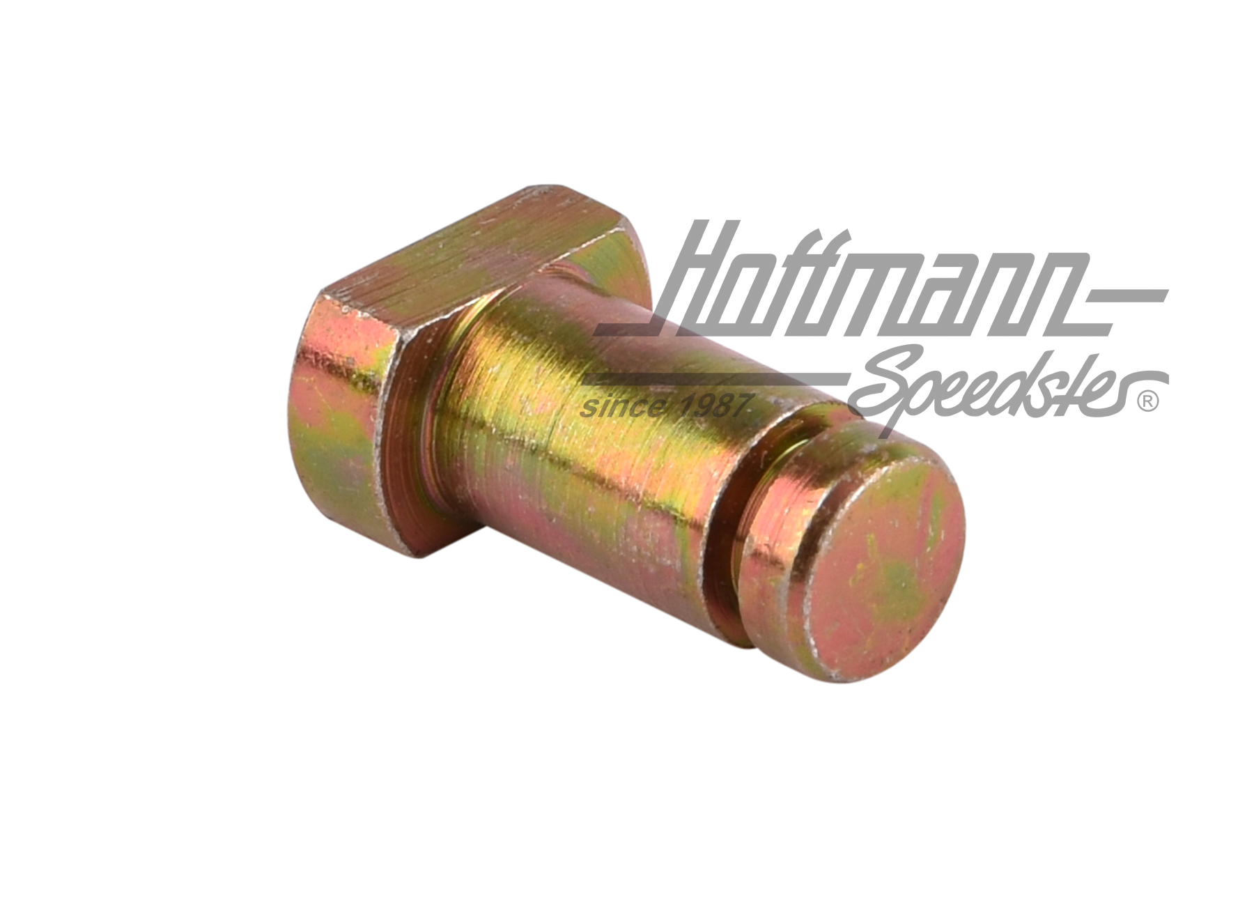 Perno, bisagra del portón trasero,corto | 361 827 399 | 089-5060-50