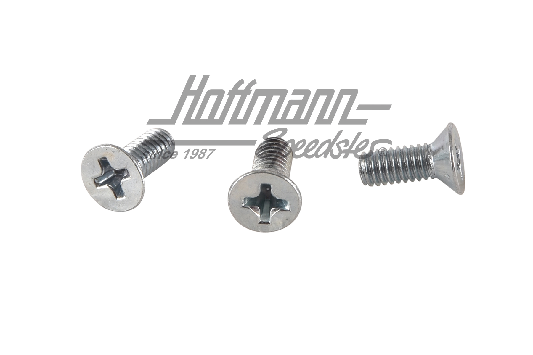 Tornillos, regulador, ventanilla pop-out, Furgoneta T1 (3 piezas) | N  014 255 1 | 089-3840-43