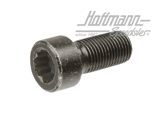 Tornillo, volante de impulsión motor,  M12x1,25x25.5mm | 911 102 171 00 | 530-0450-10