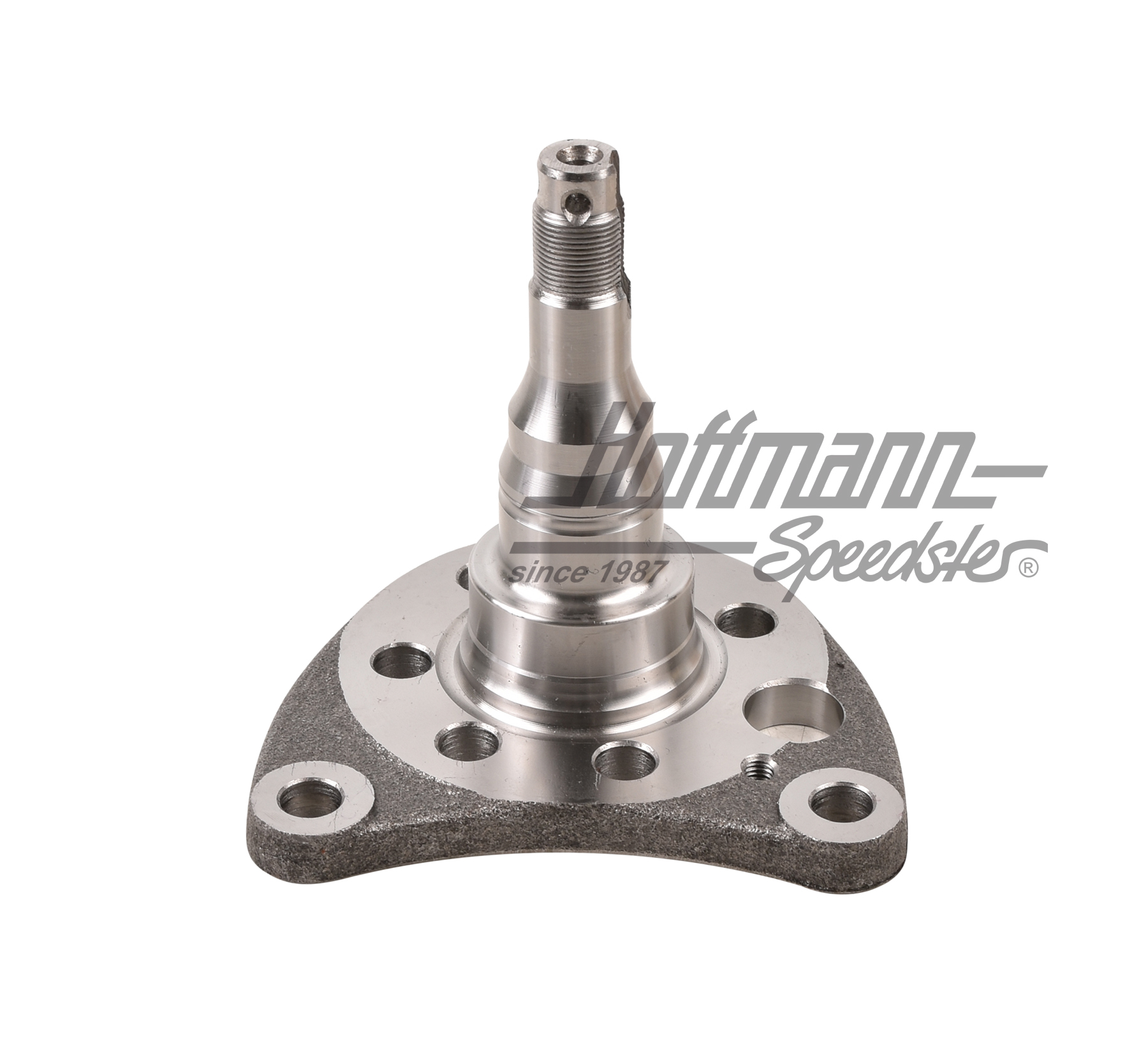 Espiga de eje, posterior, freno de disco, izqda.                                                    