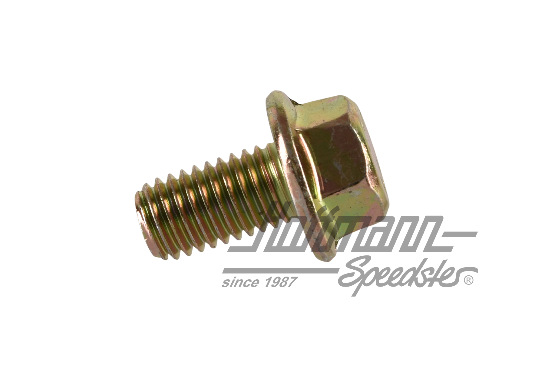 Tornillo, bisagra de puerta, Golf 2                                                                 