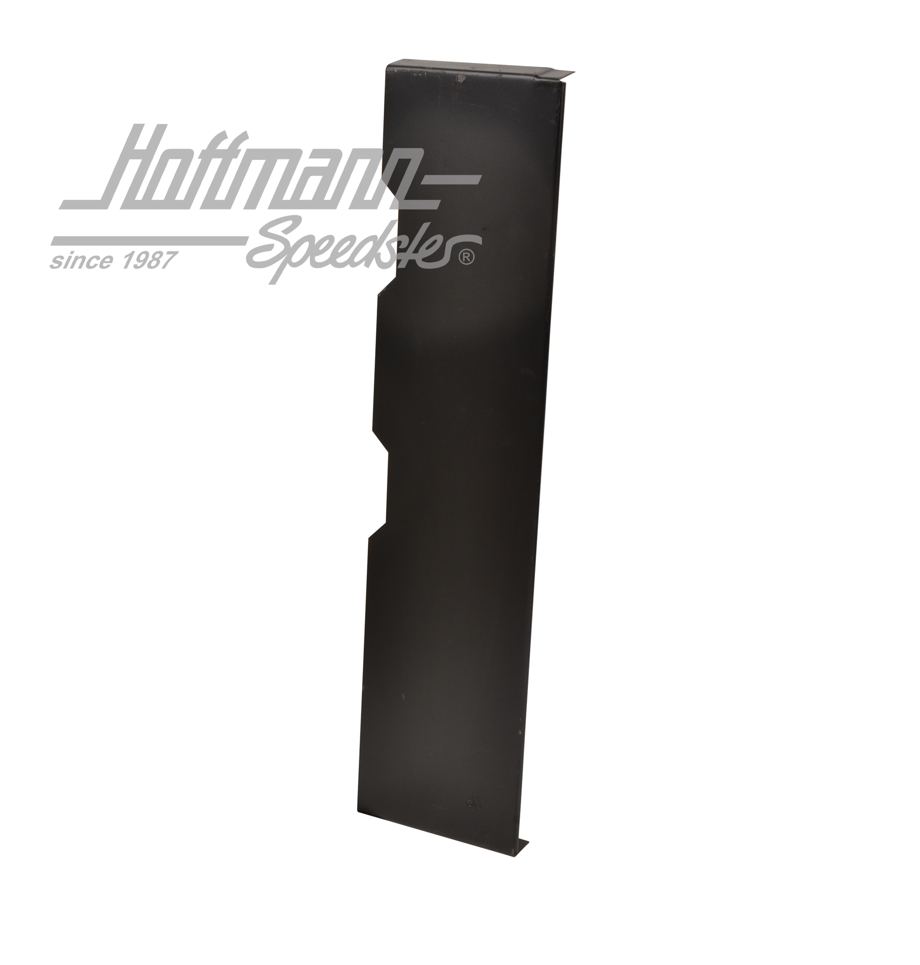 Chapa de cobertura, soporte, espacio de almacenamiento
, dcha. | 245 809 266 A | 390-0159-02