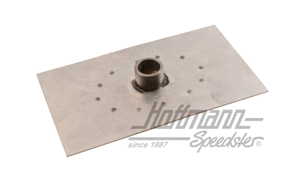 Chapa de retención, cinturón de seguridad, posterior, 65-67                                         