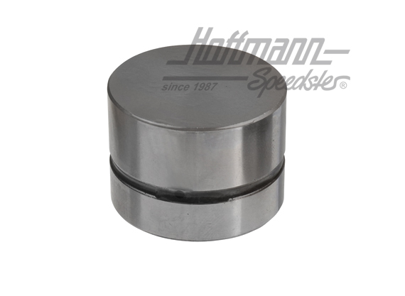 Empujador de válvula
 (empujador hidráulico), 1.6-1.8 | 034 109 309 AD | 110-1100