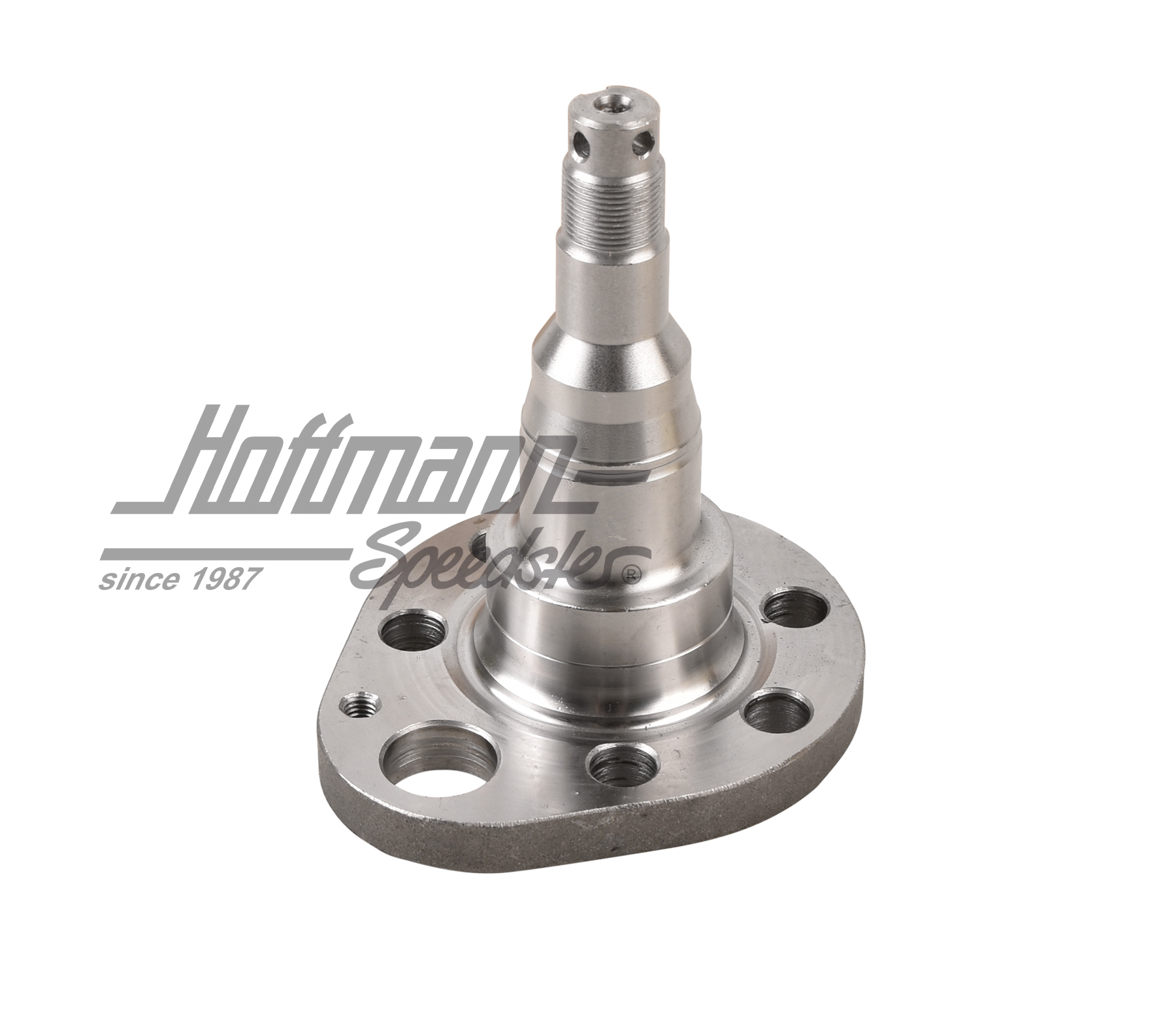 Espiga de eje, posterior, ABS, freno de tambor, izquierdo                                           