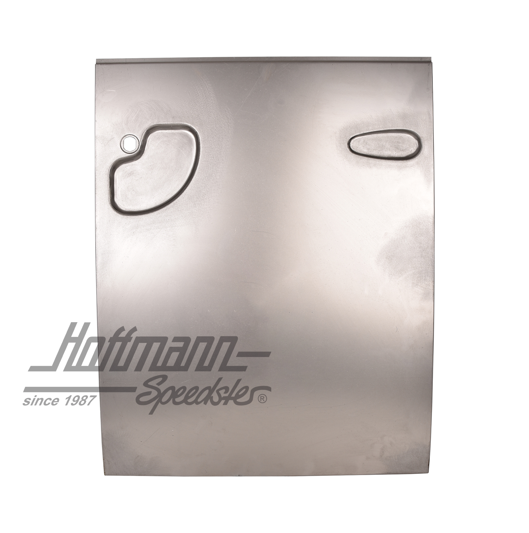Puerta abatible, recubrimiento exterior, 63-67, dcha. | 211 841 081 F | 095-0552-32