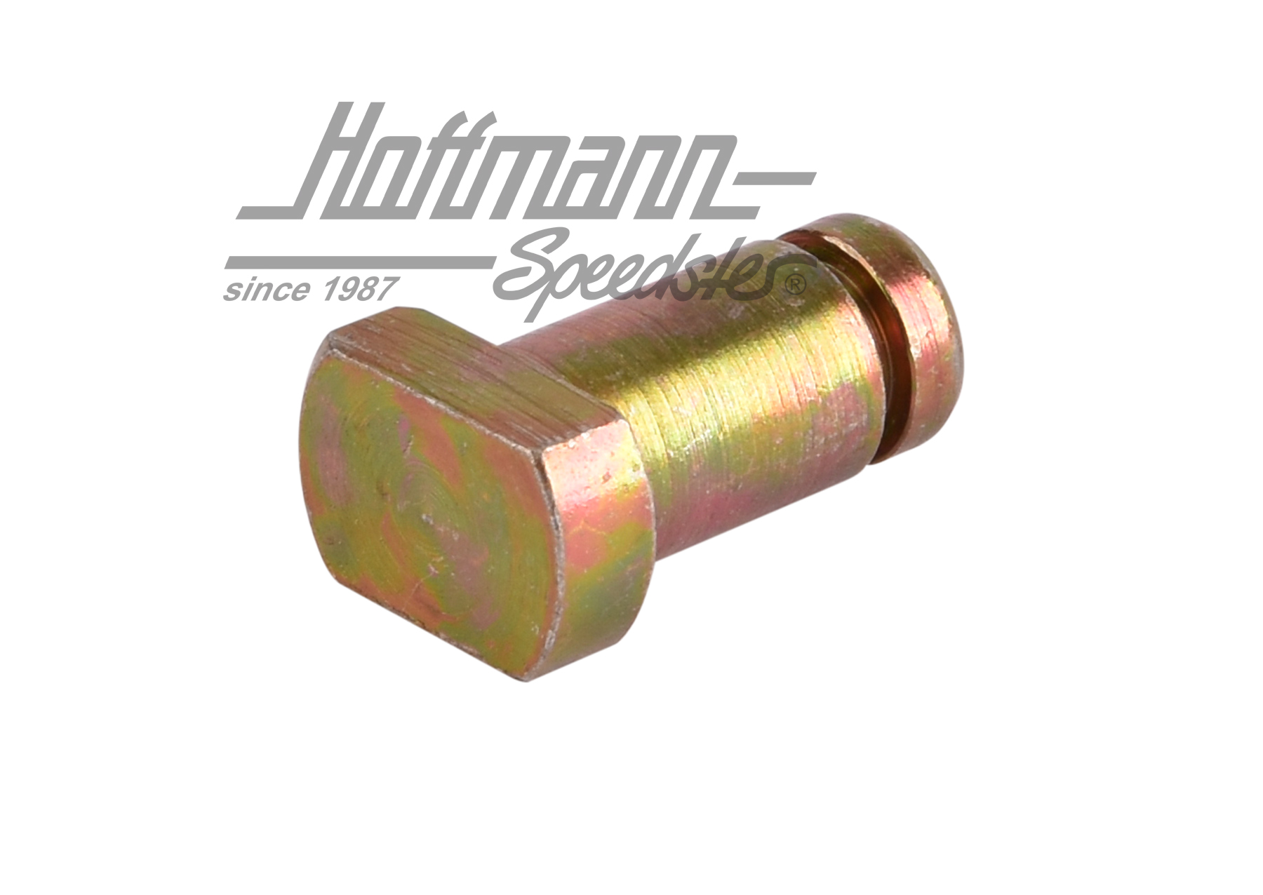 Perno, bisagra del portón trasero,corto                                                             