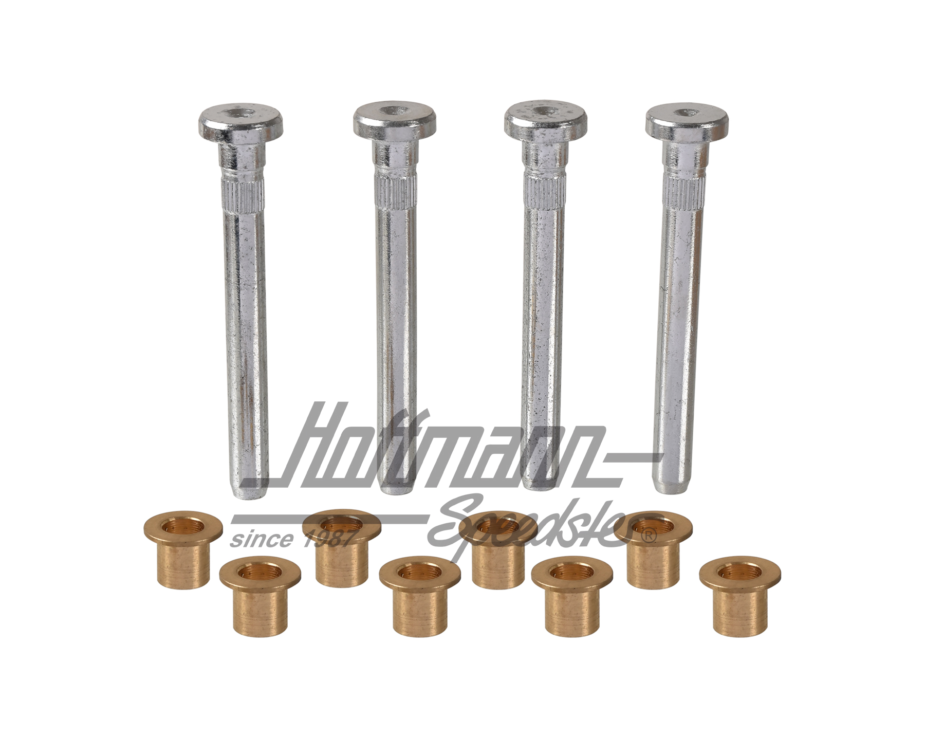 Juego de pernos de bisagra de puerta, 911/912/964/993/914 | 901 531 305 Set | 511-0260-10