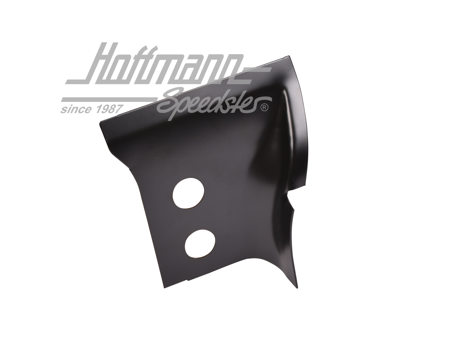 Chapa de inserción, pilar C, superior, Furgoneta T3, izquierda | 251 809 399 | 390-1100-01