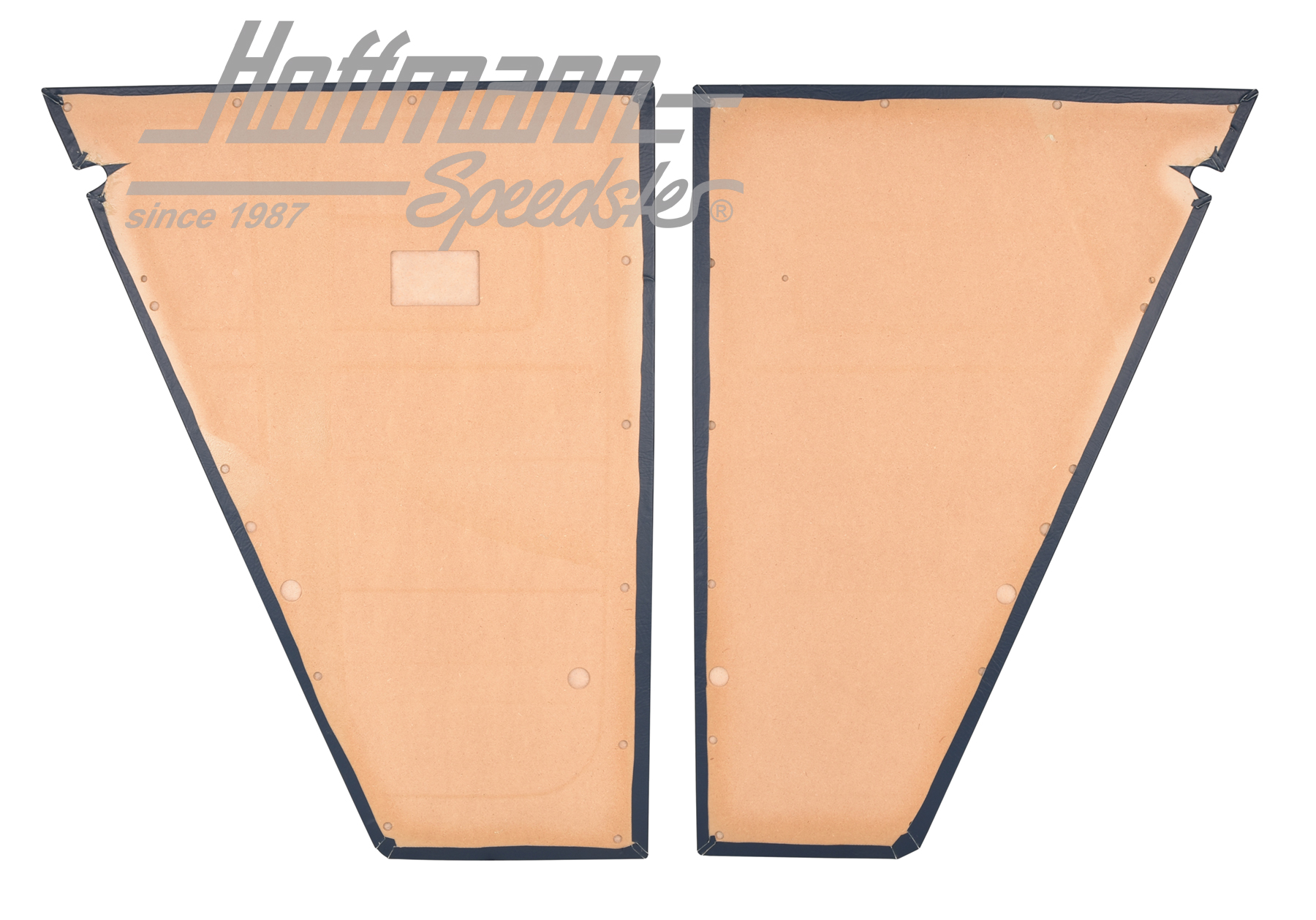 Paneles laterales, posterior, 5.79-7.92, azul                                                       