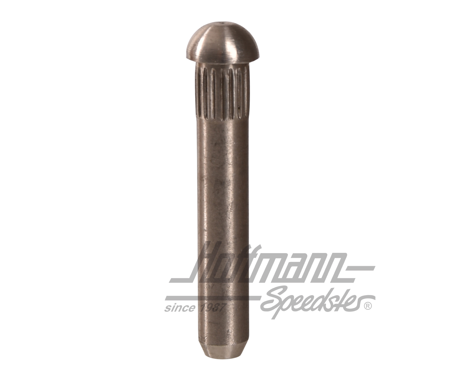 Perno de bisagra de puerta, ø8.5mm (sobremedida 3.) | 211 831 421 | 089-5040-10