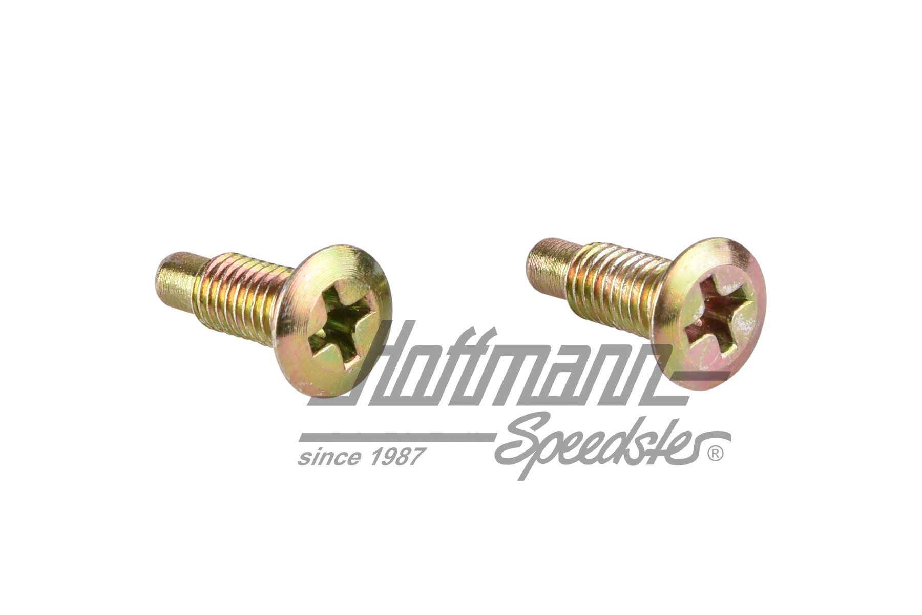 Tornillos, tapa del intermitente (imprimados) | N 0148675 | 020-4458-63