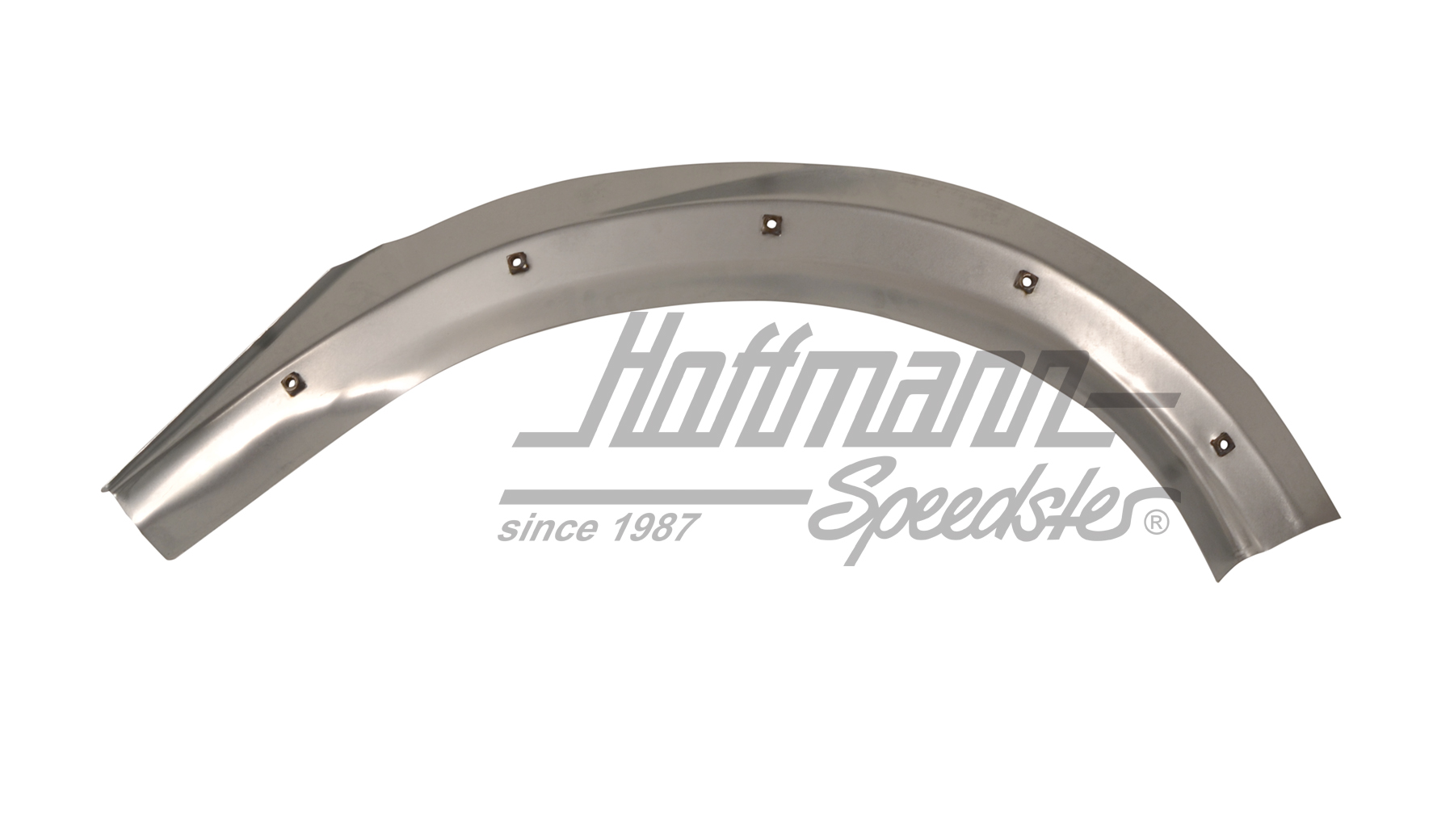 Borde atornillable del guardabarros, posterior, izquierdo                                           